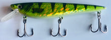 Load image into Gallery viewer, Krave Jr - WB Musky Shop