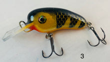 Load image into Gallery viewer, Trophy Time Leaders and Lures 3 inch Crank Bait