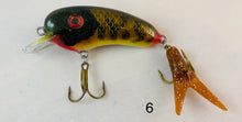 Load image into Gallery viewer, Trophy Time Leaders and Lures 4inch Shallow Crank Bait