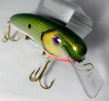Load image into Gallery viewer, Trophy Time Leaders and Lures 5inch Crank Bait