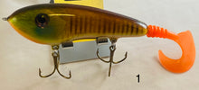 Load image into Gallery viewer, Trophy Time Leaders and Lures 6 inch glide bait