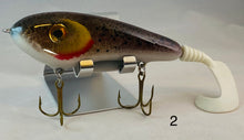 Load image into Gallery viewer, Trophy Time Leaders and Lures 6 inch glide bait