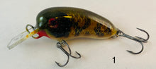 Load image into Gallery viewer, Trophy Time Leaders and Lures 3 inch Crank Bait