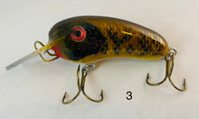 Load image into Gallery viewer, Trophy Time Leaders and Lures 4inch Crank Bait