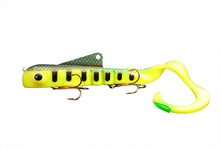 Load image into Gallery viewer, SHALLOW REGULAR BULL DAWGS - WB Musky Shop